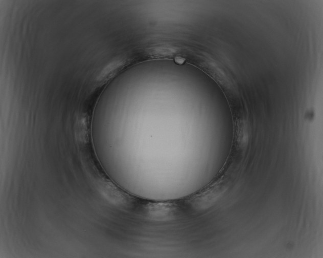 X0000090410378200707131153