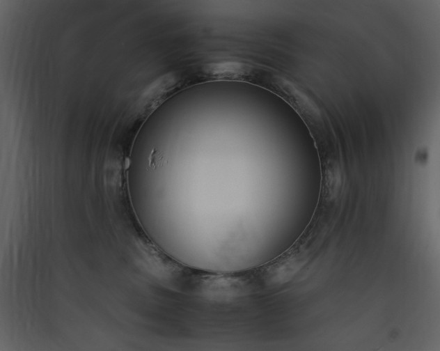 X0000090410379200707131153