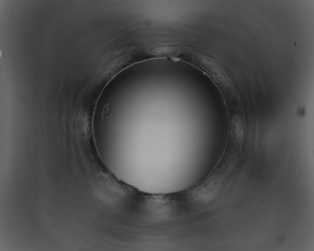 X0000090410380200707131153