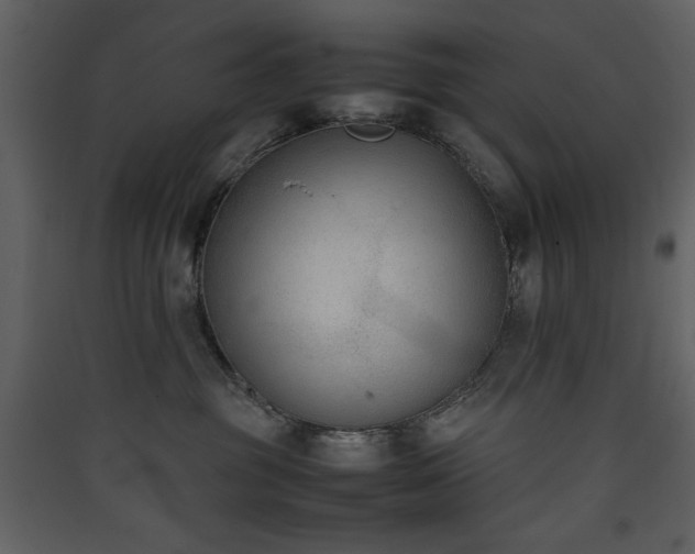 X0000090410381200707131153