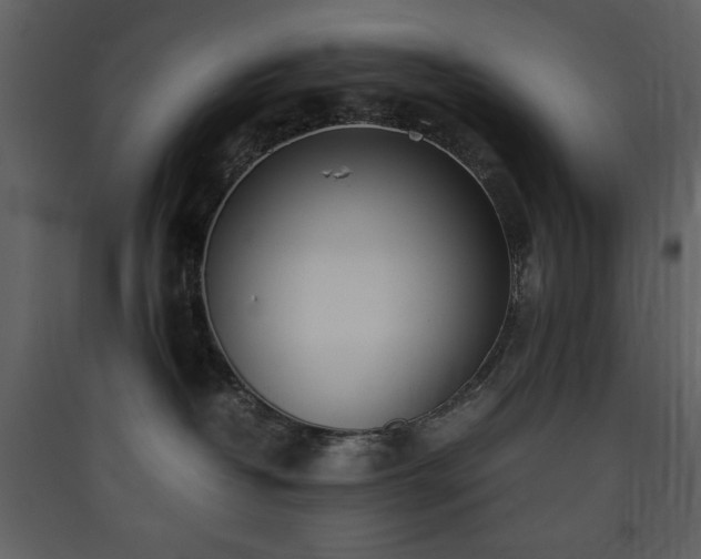 X0000090410382200707131153