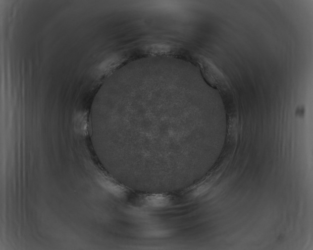 X0000090410383200707131153