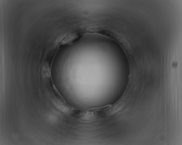 X0000090410384200707131153