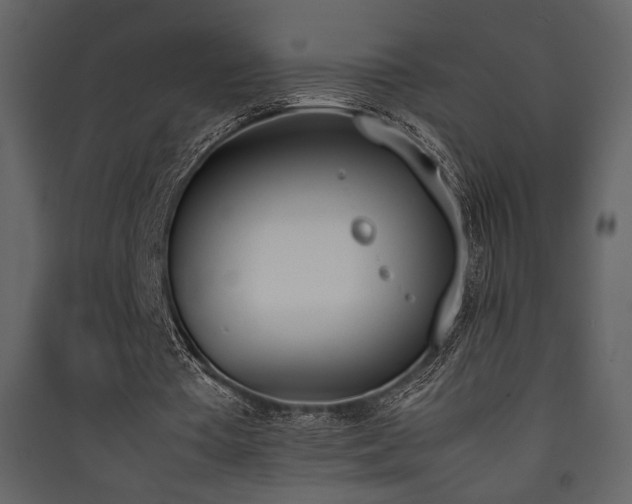 X0000090410385200707131152