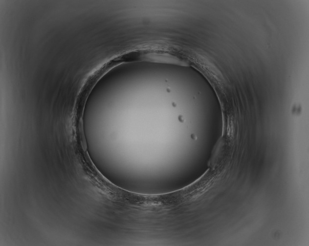 X0000090410388200707131152