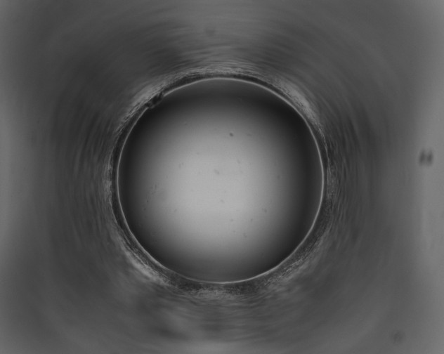 X0000090410389200707131152