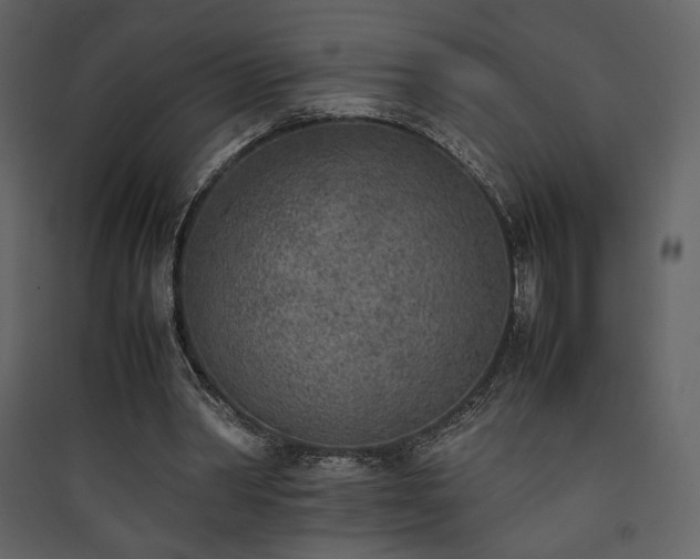 X0000090410390200707131152