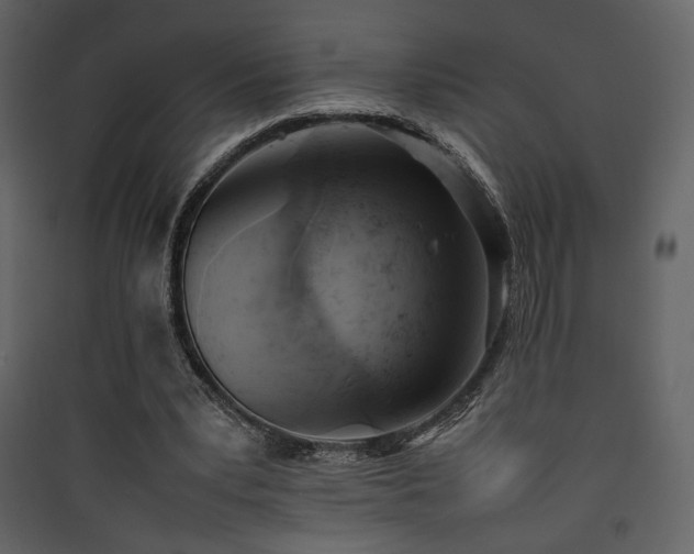 X0000090410391200707131152