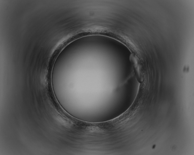 X0000090410392200707131152