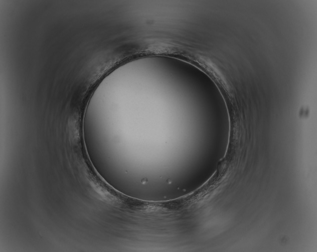 X0000090410393200707131152