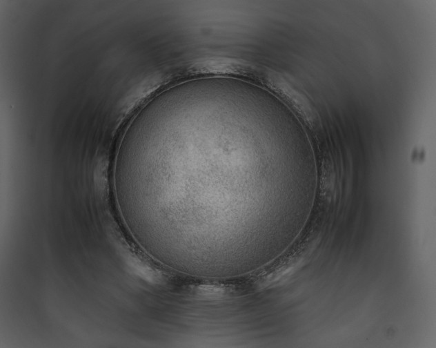 X0000090410394200707131152