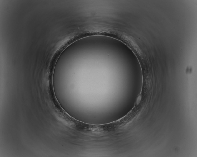 X0000090410395200707131152