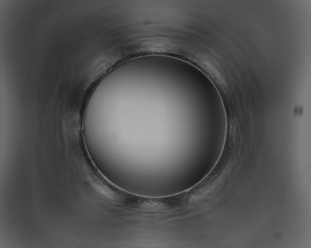 X0000090410397200707131152