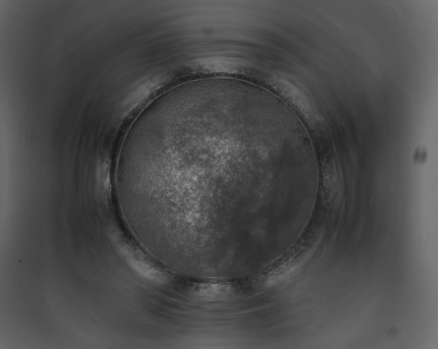 X0000090410398200707131152