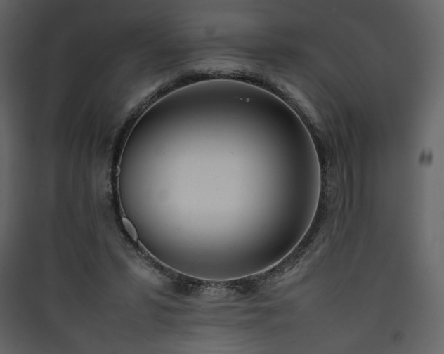X0000090410399200707131152