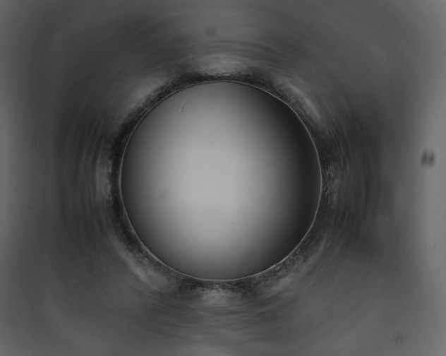 X0000090410400200707131152