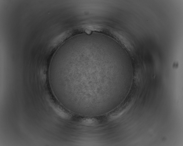 X0000090410402200707131152