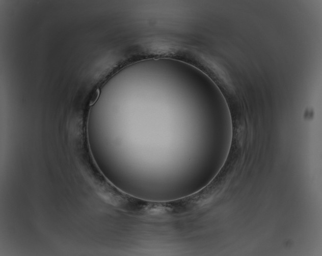 X0000090410407200707131152