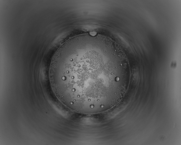 X0000090410408200707131152