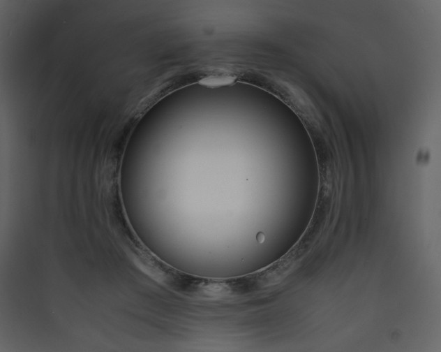 X0000090410409200707131152