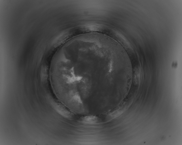 X0000090410410200707131152