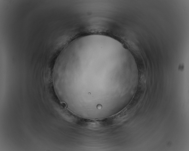 X0000090410411200707131152