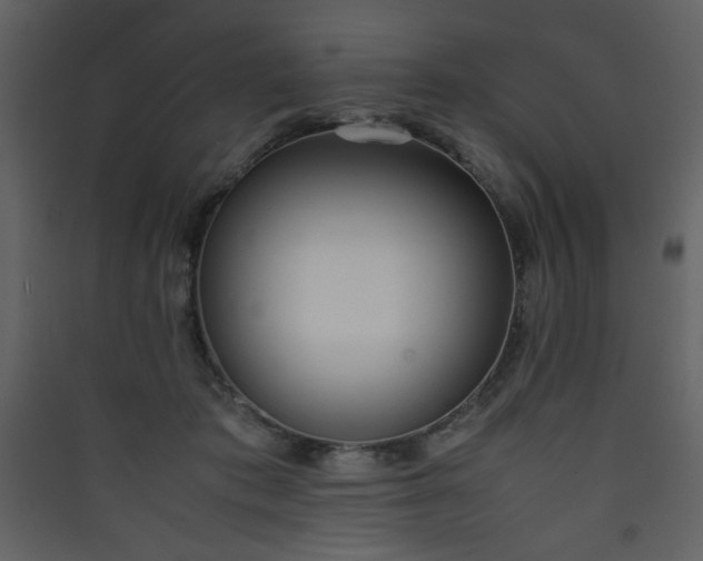 X0000090410413200707131152