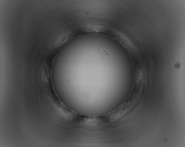 X0000090410414200707131152