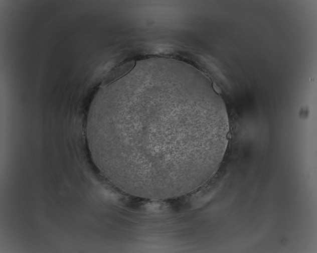 X0000090410415200707131152