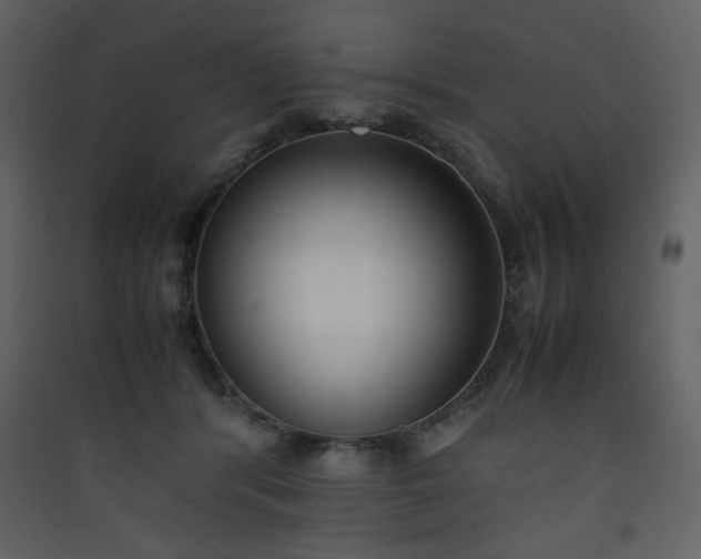 X0000090410416200707131152