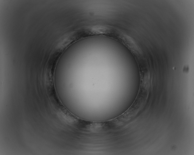 X0000090410418200707131152