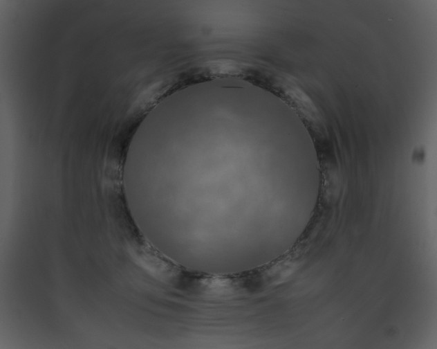 X0000090410419200707131152