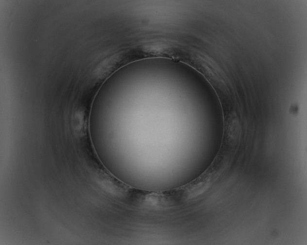 X0000090410420200707131152