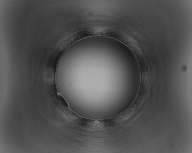 X0000090410421200707131152