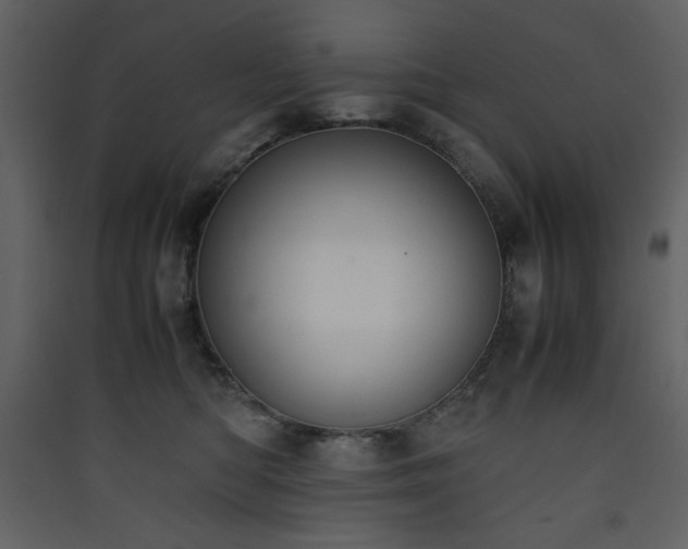 X0000090410422200707131152