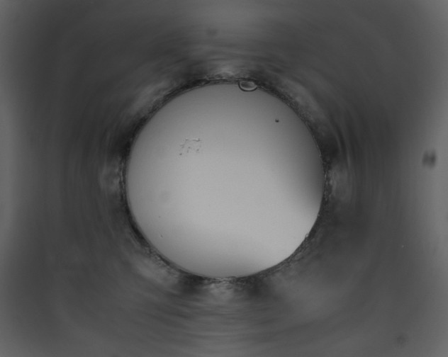 X0000090410423200707131152