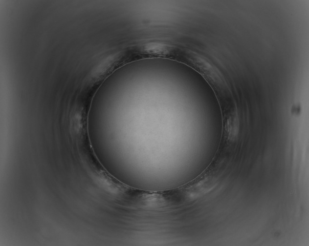 X0000090410424200707131151