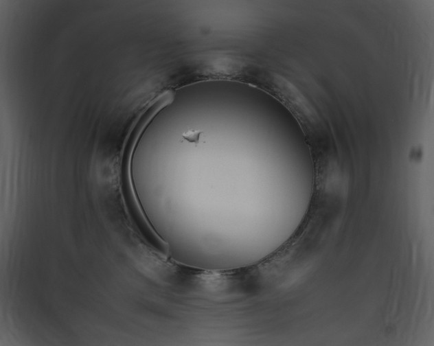 X0000090410425200707131151