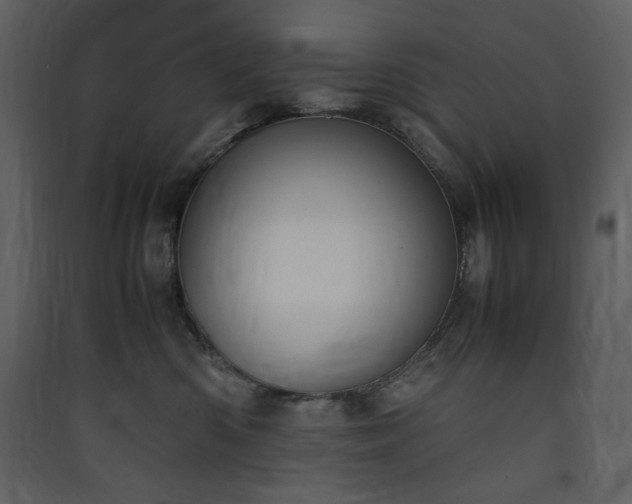 X0000090410426200707131151