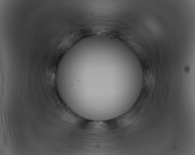 X0000090410427200707131151