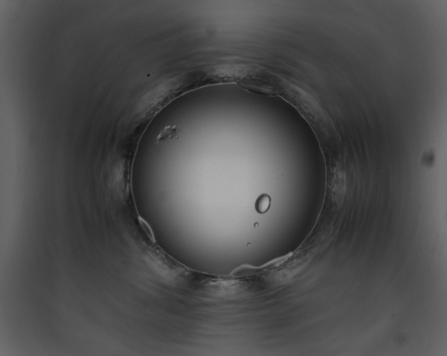 X0000090410428200707131151