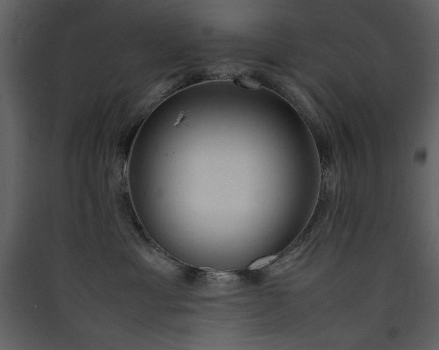 X0000090410429200707131151