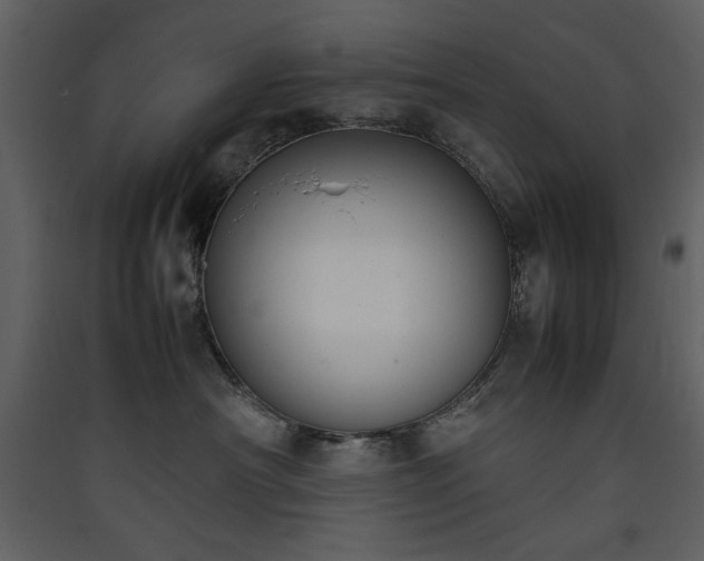 X0000090410430200707131151