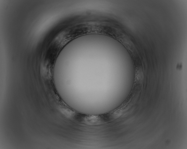 X0000090410431200707131151