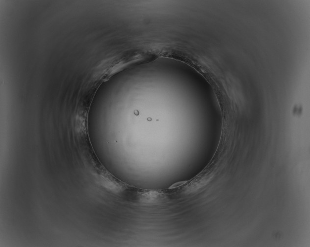 X0000090410432200707131151
