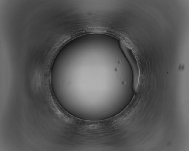 X0000090410433200707131151