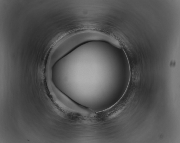 X0000090410436200707131151