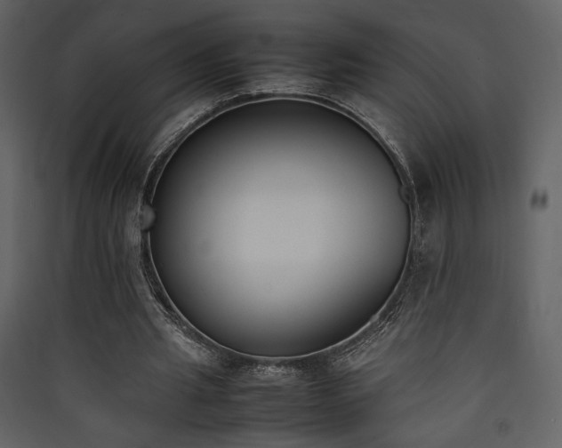 X0000090410437200707131151