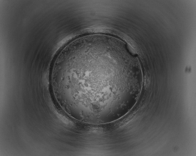 X0000090410438200707131151
