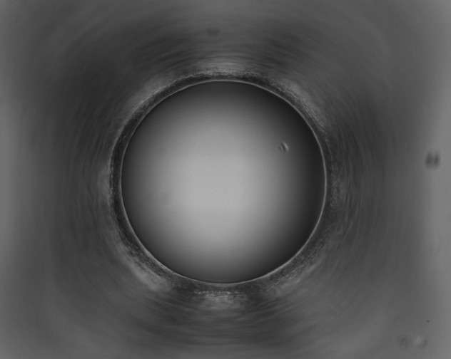 X0000090410439200707131151